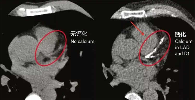 1795674615174836653-126副本.jpg