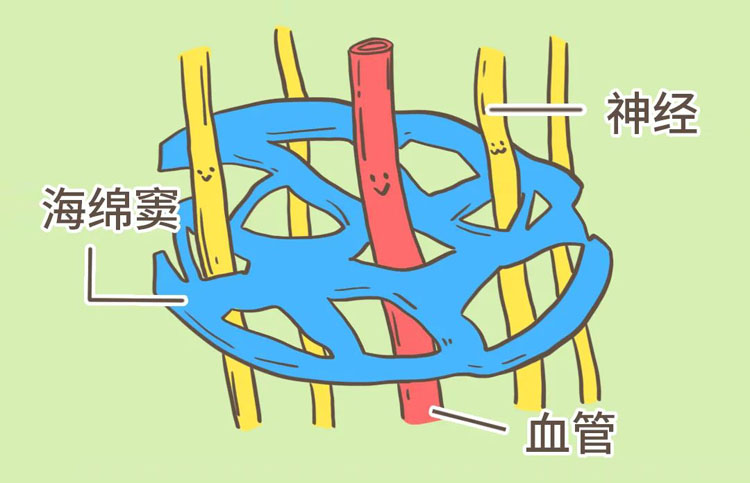 海绵窦血栓的症状有哪些