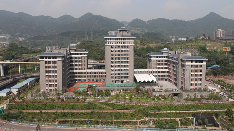 重庆市第十一人民医院