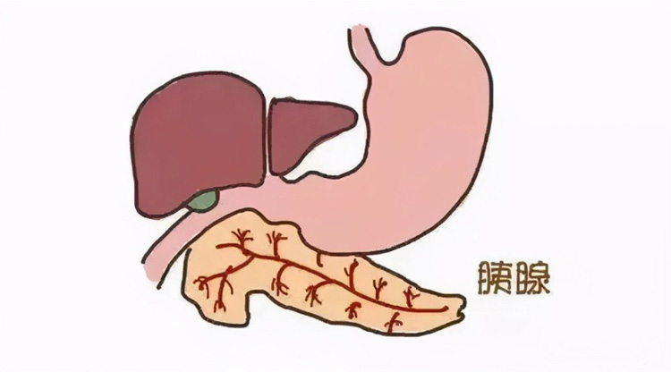 慢性胰腺炎的症状有哪些