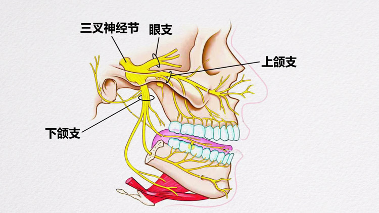 三叉神经痛的症状有哪些