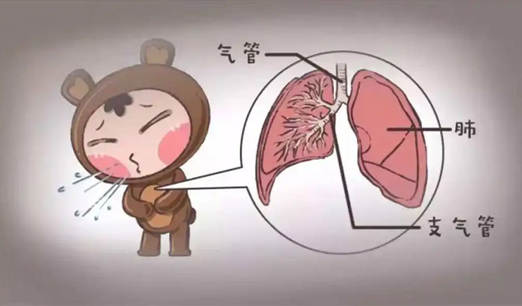 呼吸道感染如何预防