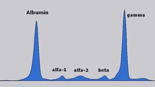 640.jpg