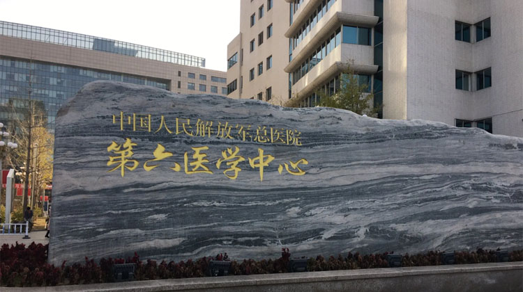 中国人民解放军总医院第六医学中心
