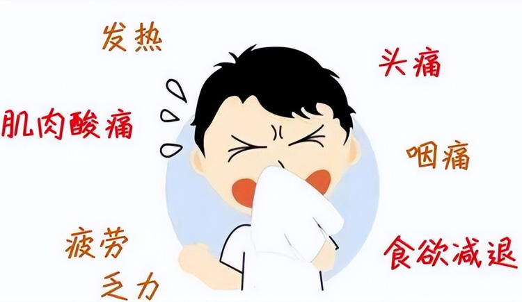 甲型流感会出现什么症状