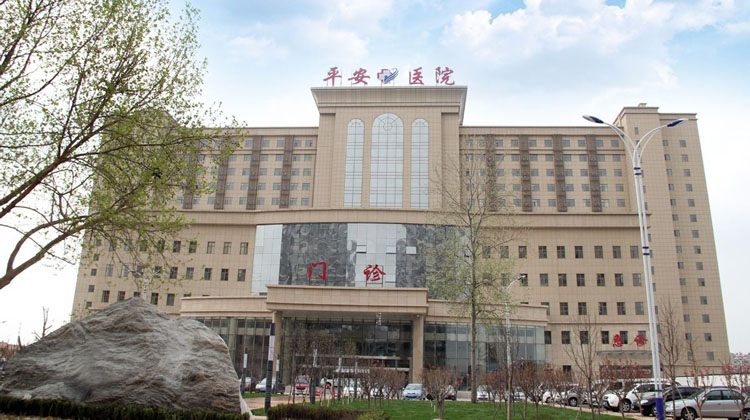 北京市西城区平安医院