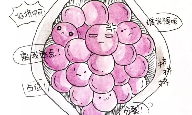 葡萄胎如何治疗