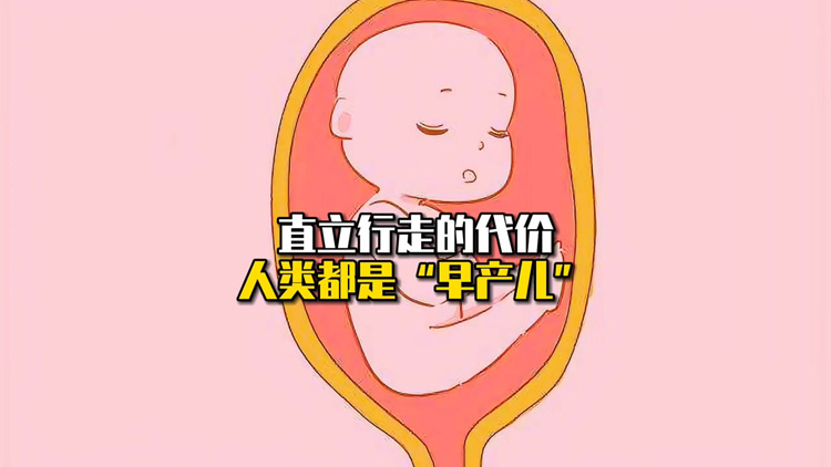 早产儿有什么征兆